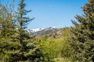 Snow-capped mountains provide a scenic backdrop to a landscape featuring evergreen and deciduous trees, with a clear blue sky overhead