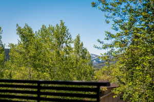 Expansive mountain backdrop featuring snow-capped peaks and abundant mature trees