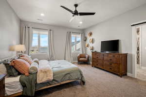Bedroom with light gray walls, plush carpet, and two large windows
