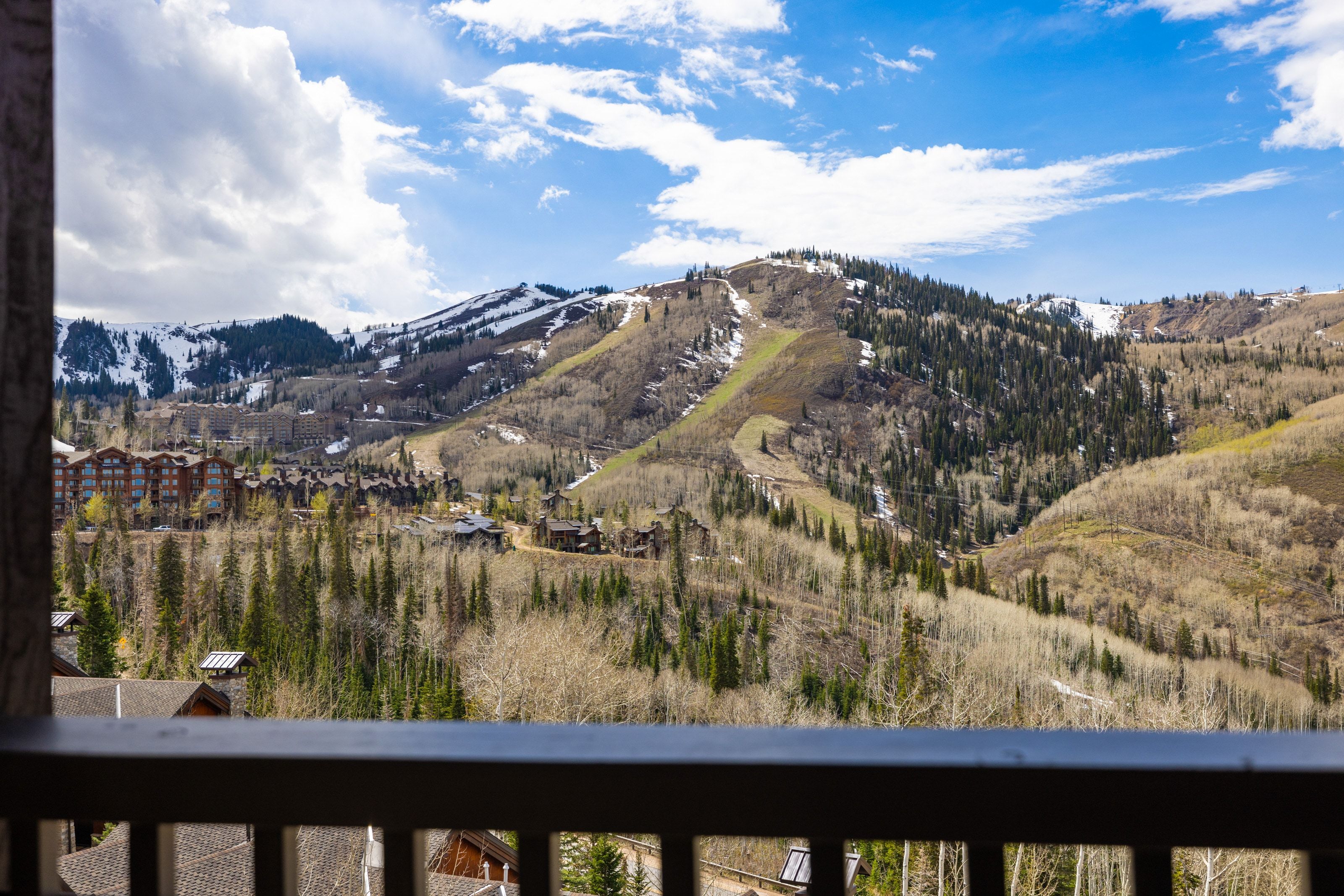 Mountain landscape featuring evergreen and deciduous trees, with distant structures nestled into the hillside