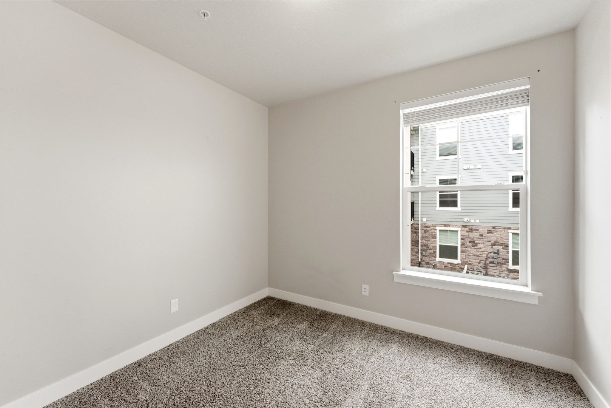 Bright room with neutral wall paint, white trim, and carpet