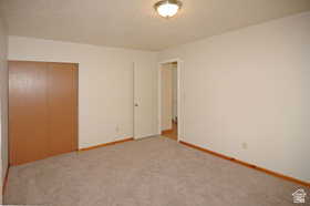 Carpeted room with light-toned walls and wood-finish baseboards