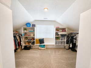 Primary bedroom walk-in closet featuring sloped ceilings, plush carpet flooring, a built-in window bench, and integrated shelving units