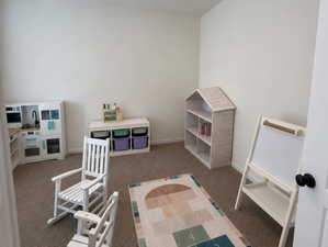 Main floor office with carpet and a flush-mount ceiling light