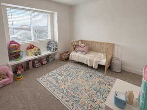 Carpeted room featuring a wide window with blinds, a built-in window ledge, and a ceiling-mounted light fixture