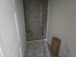 Basement Bathroom 3