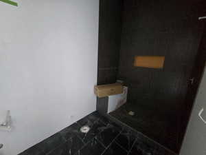 Basement Bathroom 1
