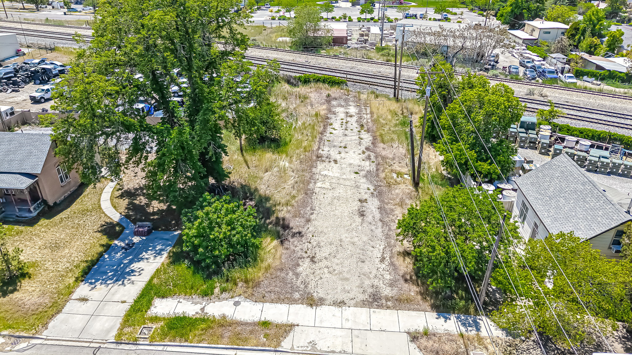 Expansive lot featuring mature trees and a paved driveway with a curved walkway