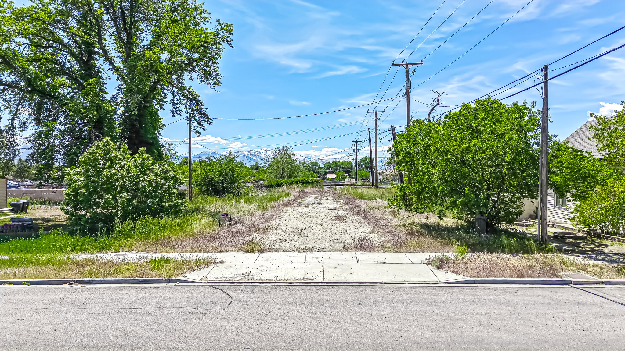 Expansive lot with mature trees and visible mountains in the distance