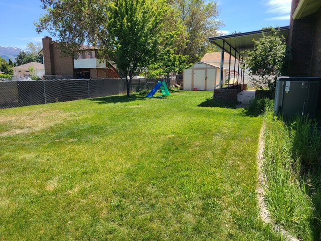 Expansive grassy lawn with a chain-link fence, mature trees, and a detached storage shed
