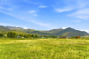 Expansive green field with distant mountain range backdrop