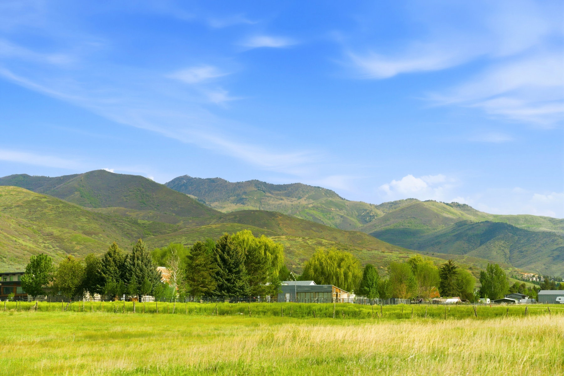 Expansive green fields with distant mountains and a clear blue sky