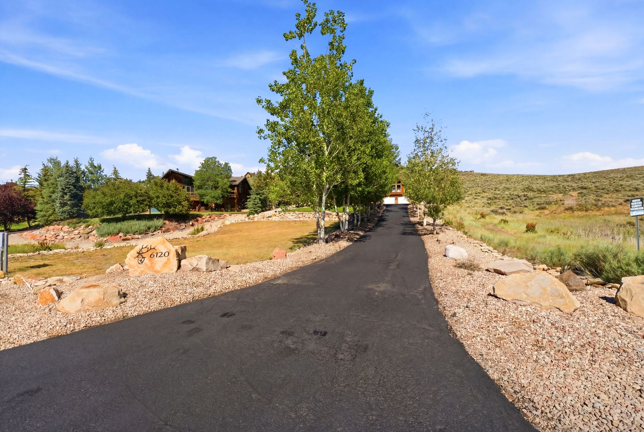 Paved driveway bordered by mature trees and natural landscaping