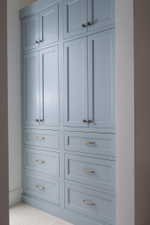 Full-height built-in cabinetry featuring a soft blue finish, recessed panel doors, and brass hardware