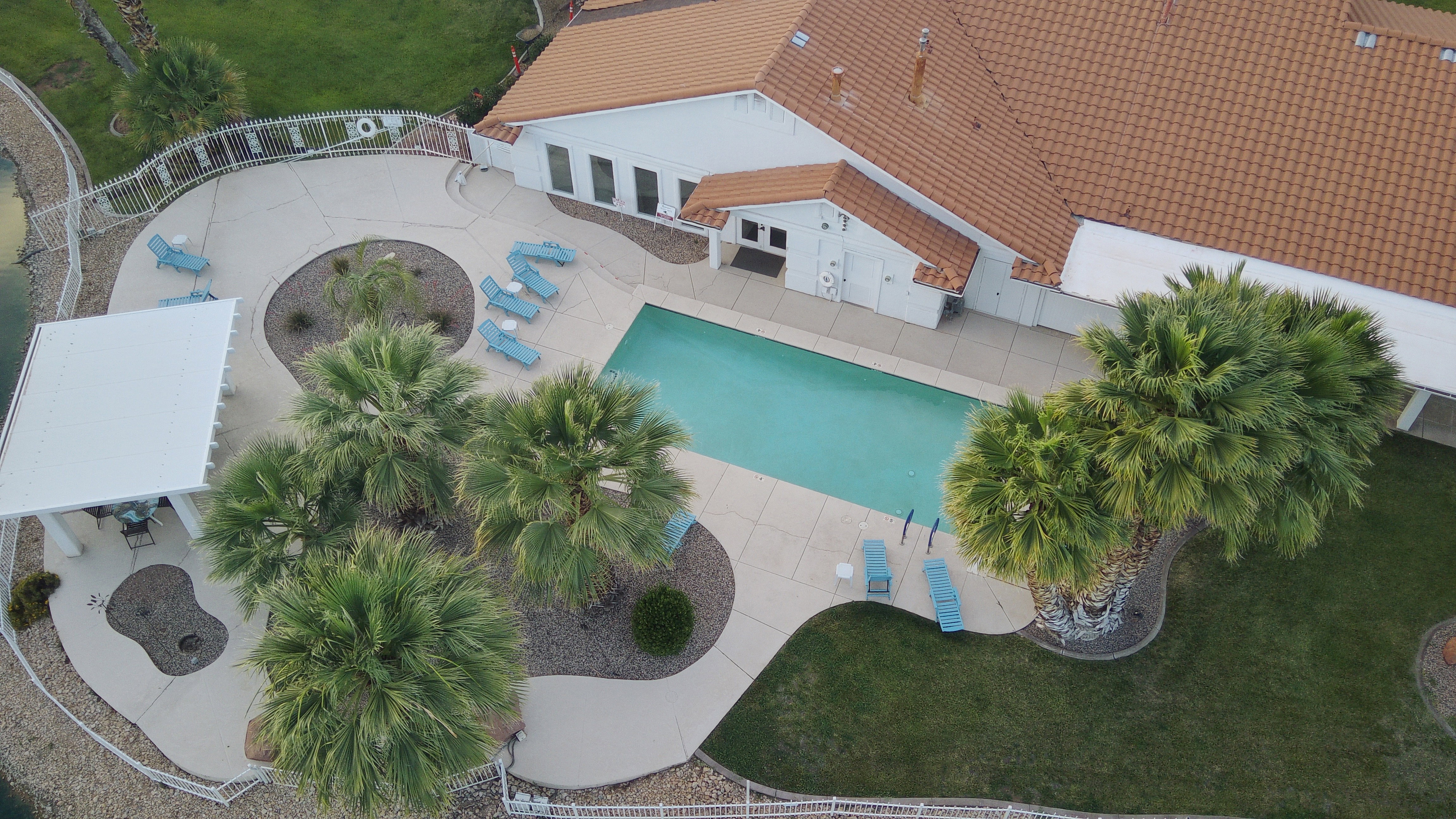Spacious concrete patio featuring a rectangular swimming pool, multiple palm trees, and a covered patio area