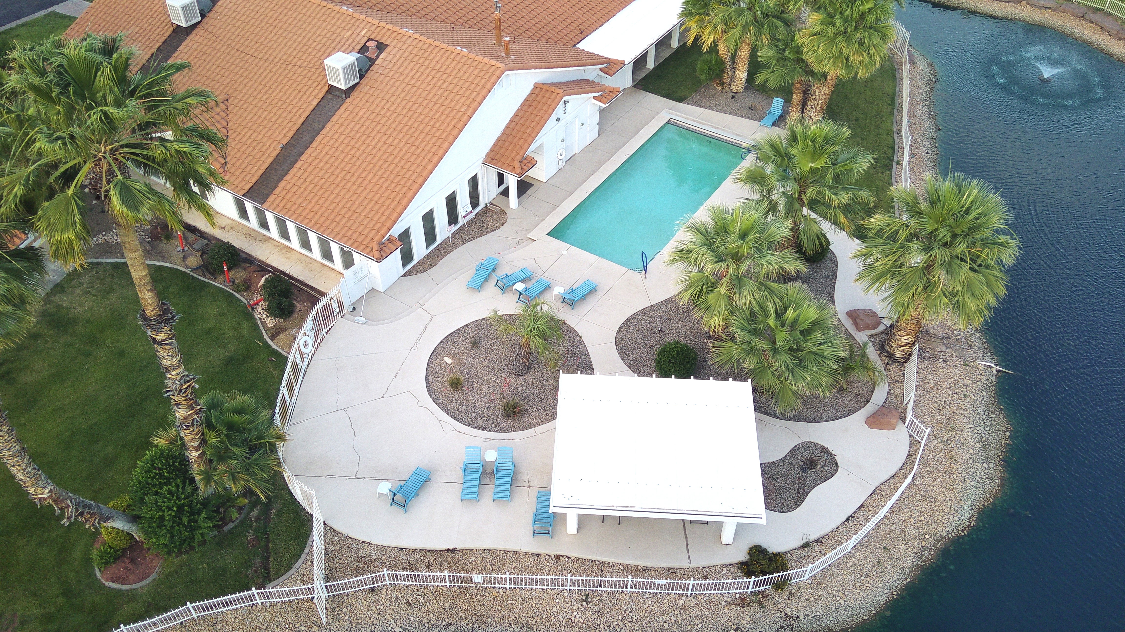 Expansive outdoor area featuring a rectangular swimming pool, concrete patio, white pergola, and manicured landscaping with palm trees