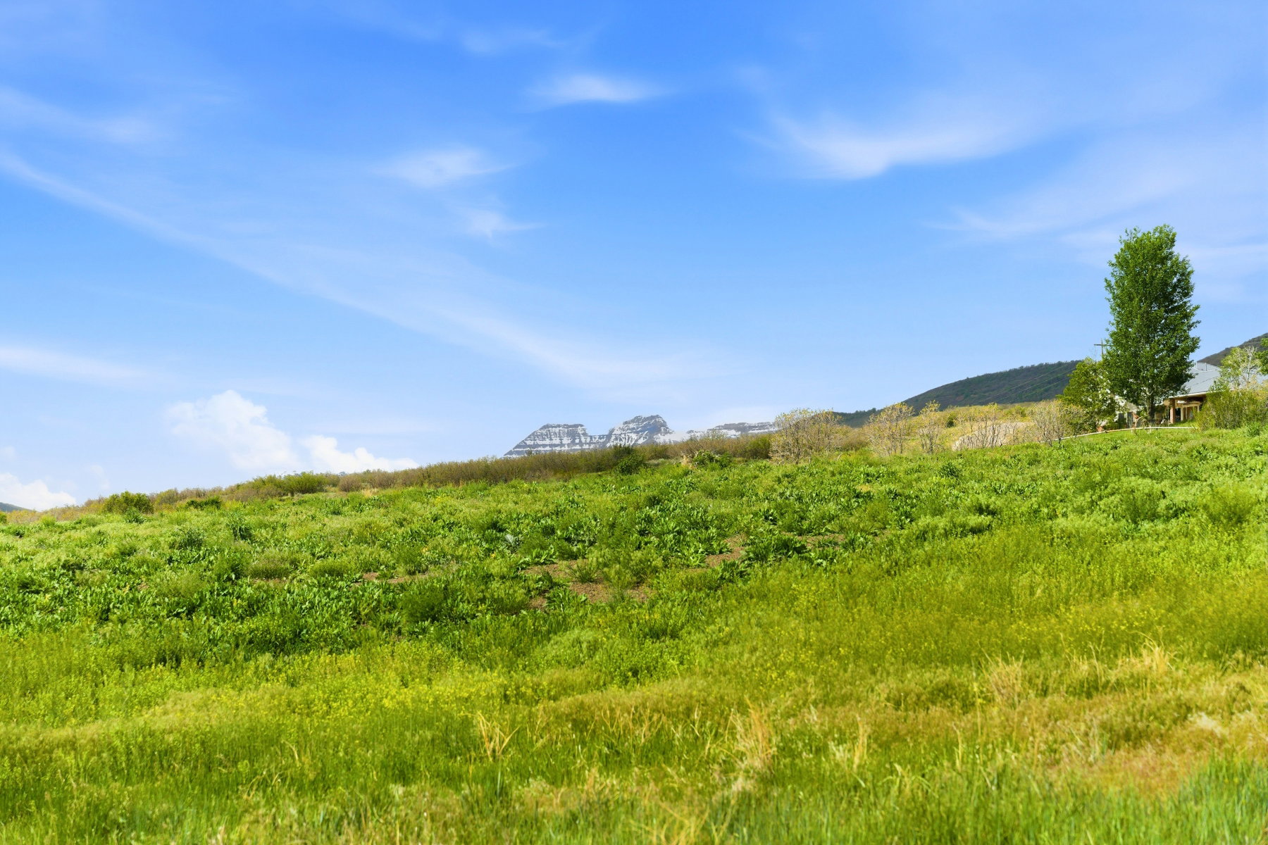 Expansive green hillside with distant mountain peaks
