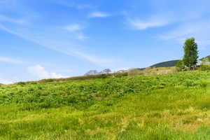 Expansive green hillside with distant mountain peaks