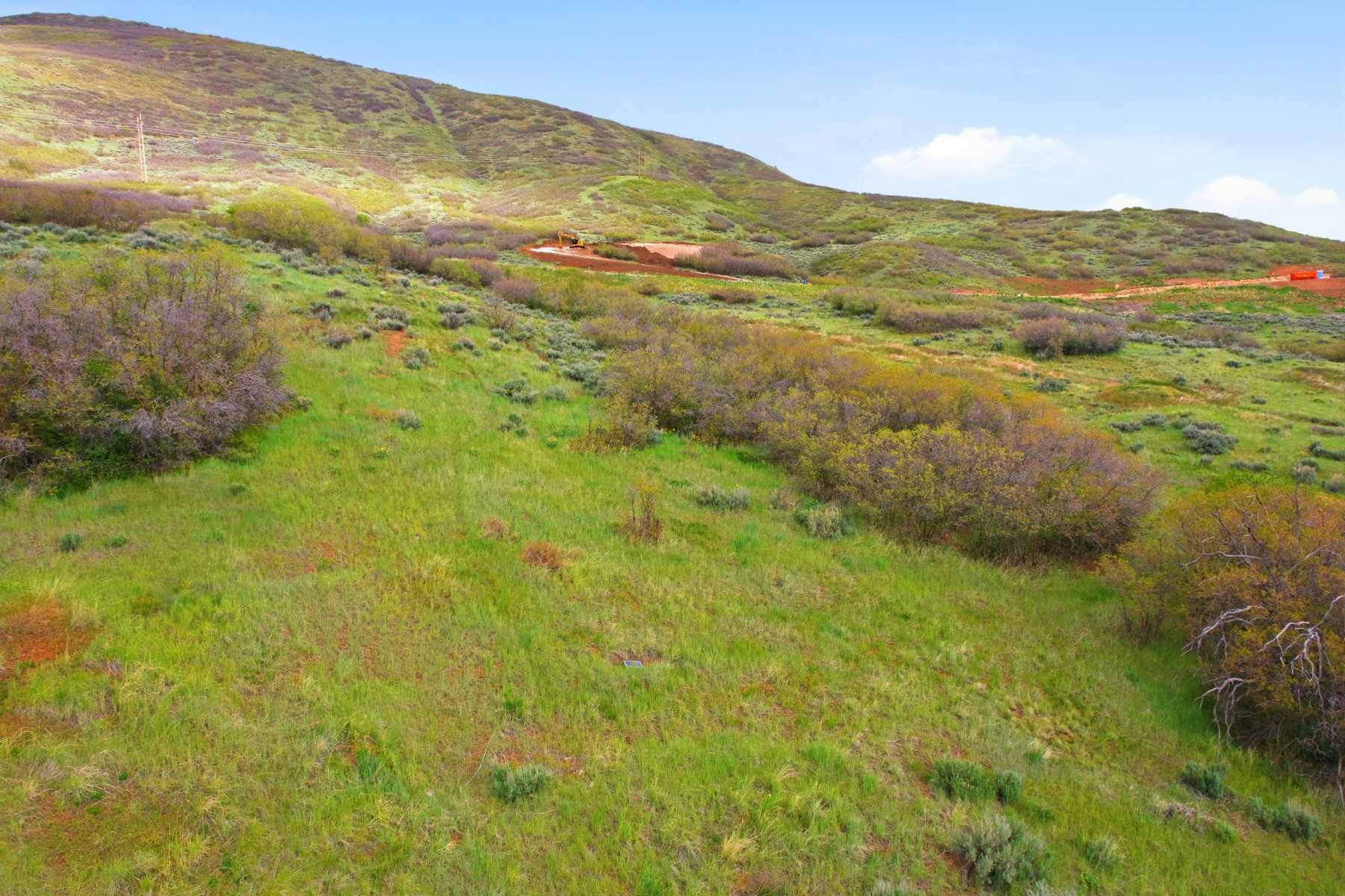 Expansive hillside property featuring natural green grasses and scattered shrubs