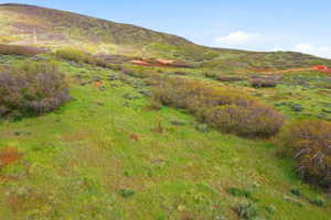 Expansive hillside property featuring natural green grasses and scattered shrubs