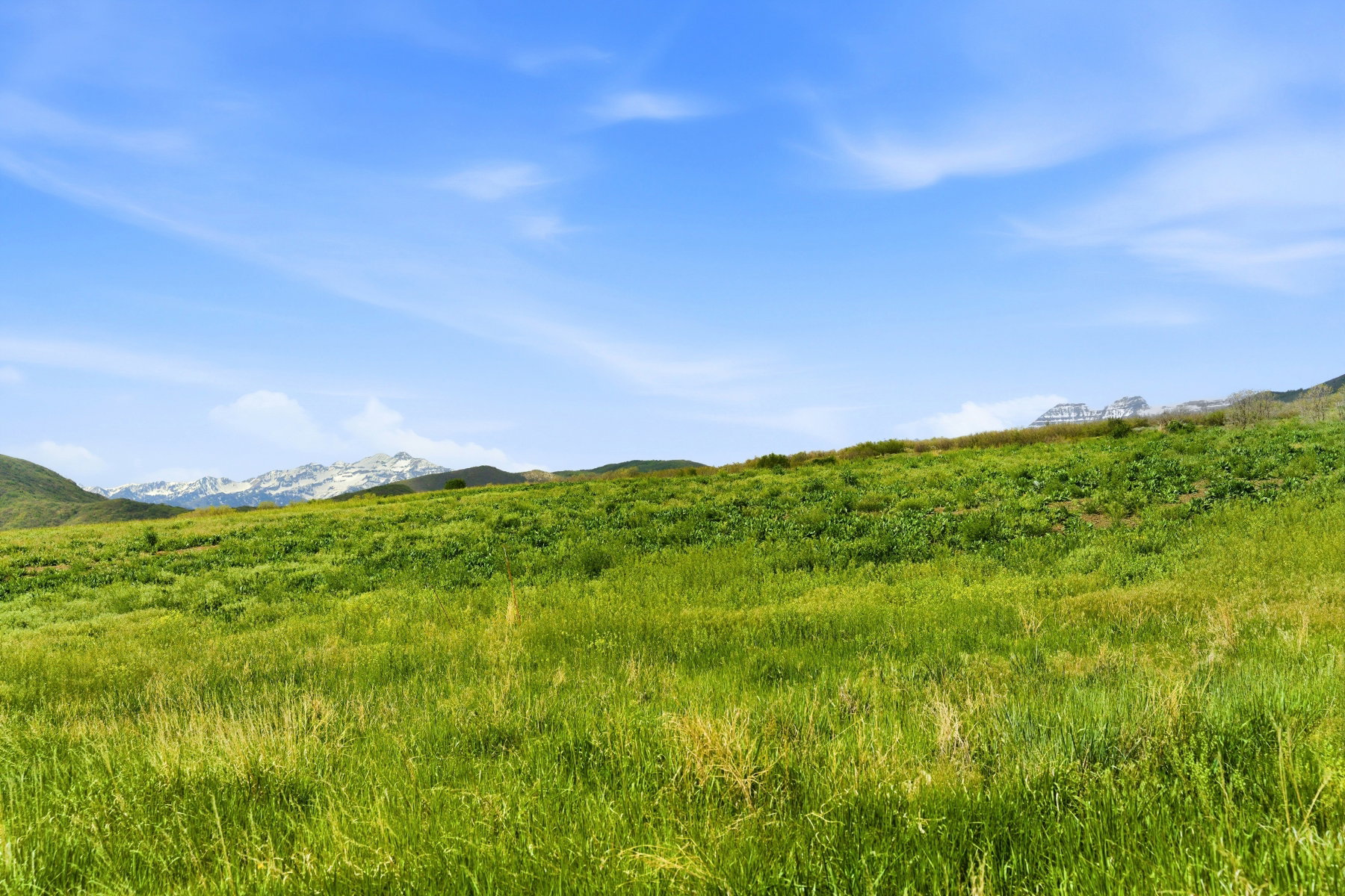 Expansive green hillside with distant mountain scenery