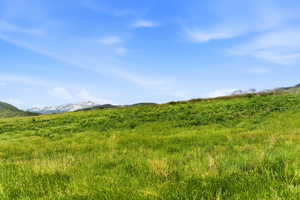 Expansive green hillside with distant mountain scenery