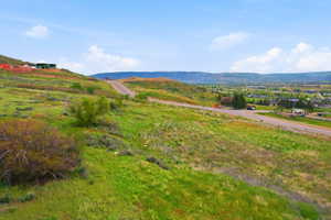Expansive sloping terrain featuring a paved road, scattered green shrubs, and distant residential developments