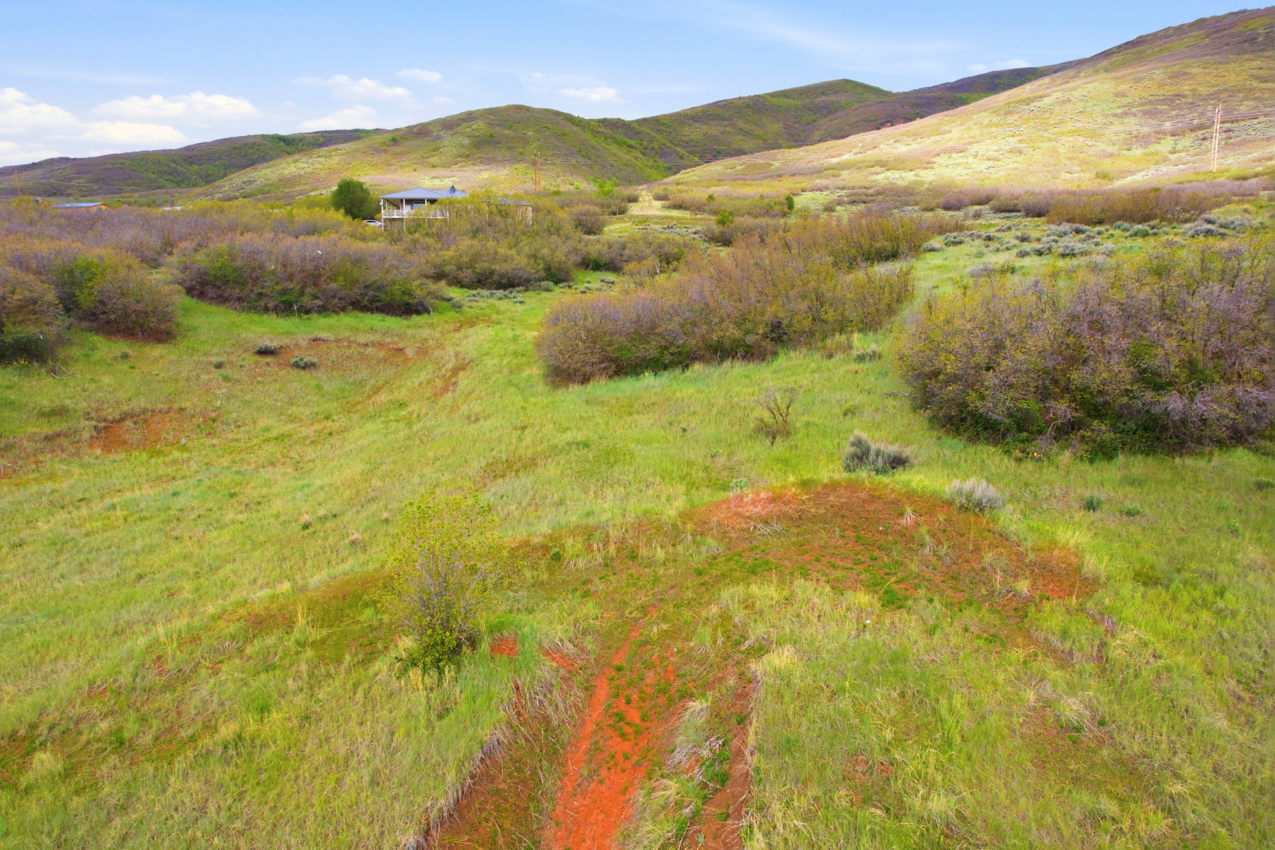 Expansive green hills with varied brush, featuring a property in the distance