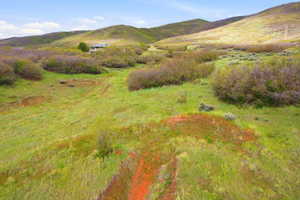 Expansive green hills with varied brush, featuring a property in the distance