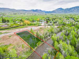 Riverside land parcel featuring a clear stream border and partial tree coverage