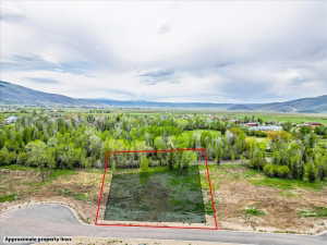 Property parcel featuring a partially wooded landscape, paved road frontage, and distant mountain scenery
