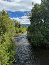 River setting surrounded by abundant foliage