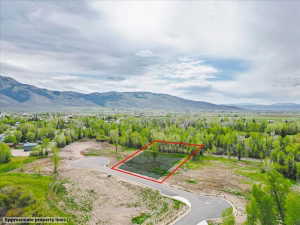 Cleared building lot with mature trees and paved road frontage