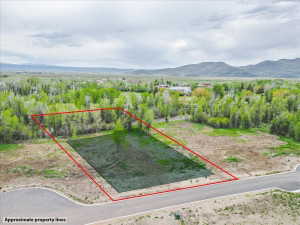 Expansive lot with defined boundaries and a single tree feature