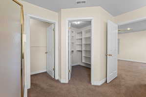 Walk-in closet with extensive built-in shelving, providing generous storage capacity