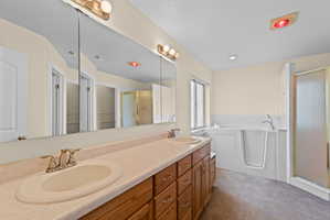 Bathroom featuring a dual vanity with wood cabinetry, a walk-in tub, and a separate shower enclosure