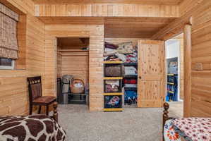 Wood-paneled room featuring a built-in closet with a shelf and hanging rod