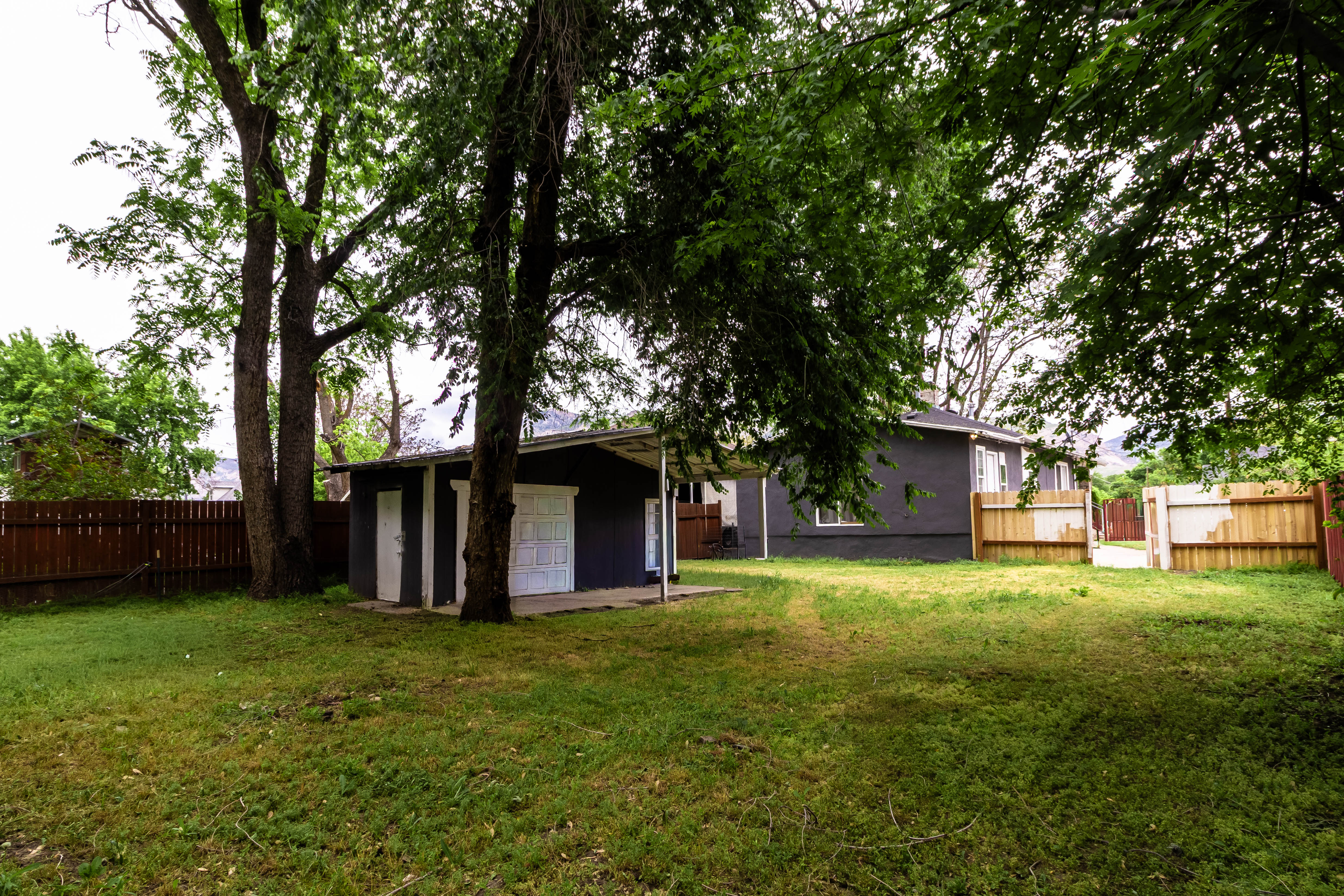 Expansive backyard featuring mature trees, a detached storage building with two white doors, and a wood privacy fence