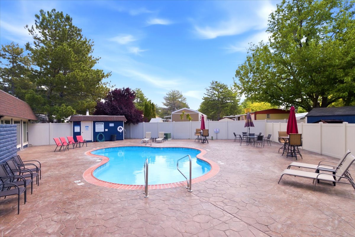 Curved swimming pool with brick coping, surrounded by a stamped concrete patio