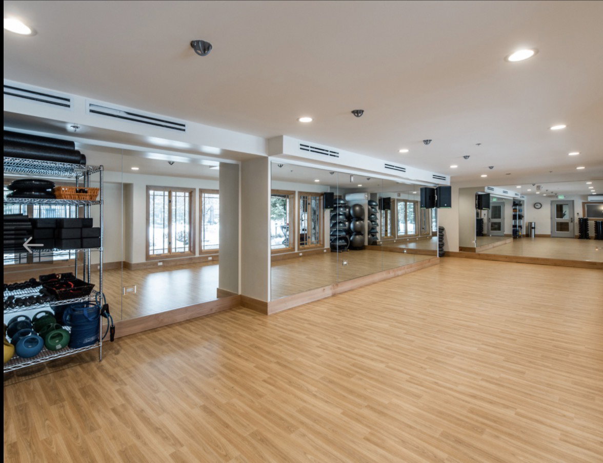 Spacious studio featuring wood-finish flooring, mirrored walls, recessed lighting, and large windows