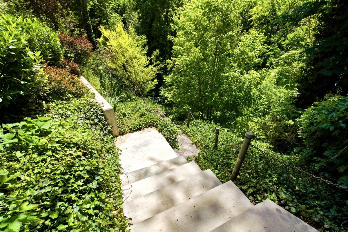 Stone steps descending into abundant natural foliage, featuring a chain railing system and mature trees