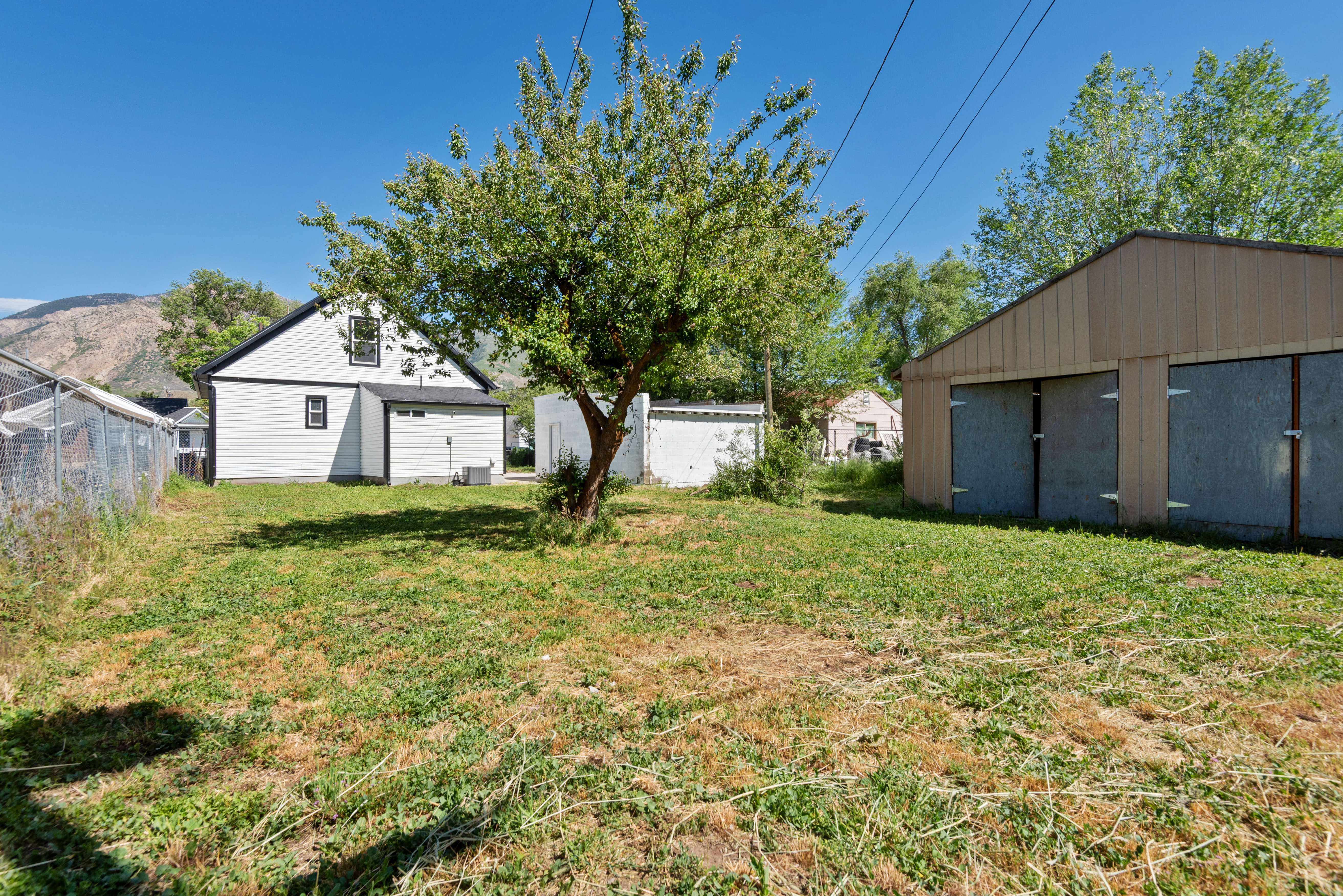 Expansive grassy yard area with a mature central tree