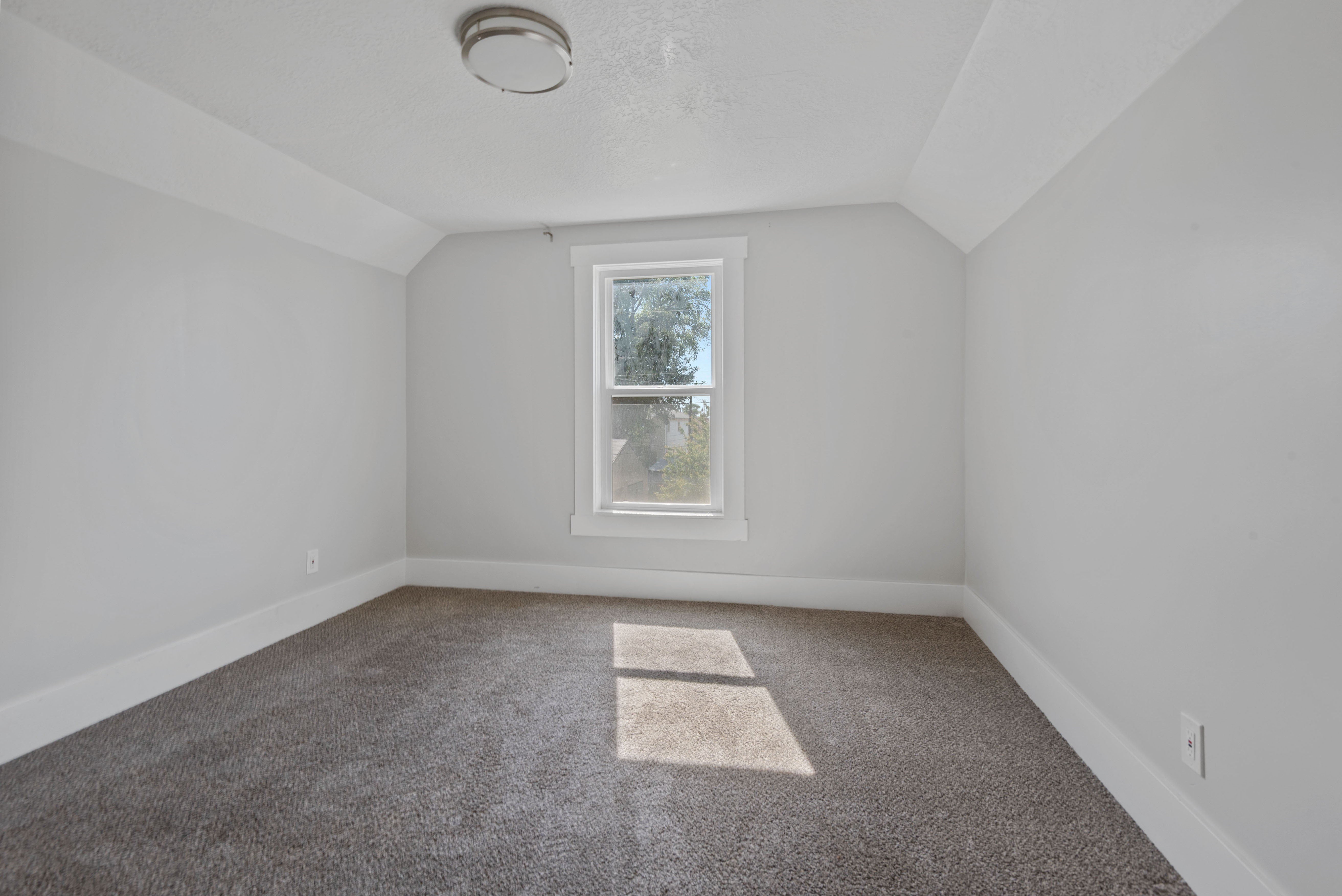 Carpeted interior space with light gray walls, white trim, and a double-hung window