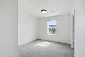 Light-filled room featuring neutral-toned carpeting, white walls, a single window, and a flush mount ceiling light
