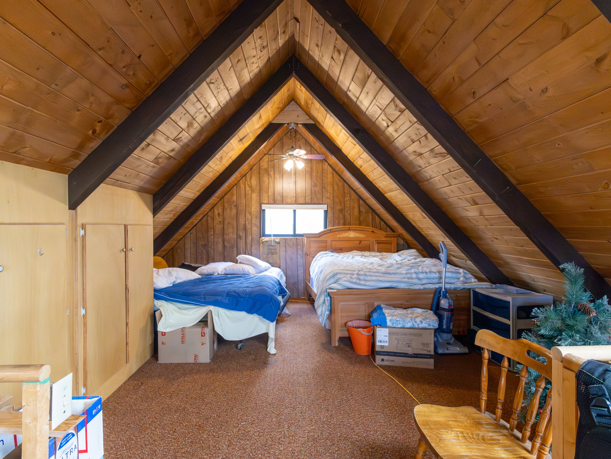 Vaulted wood-paneled ceilings with exposed dark wood beams