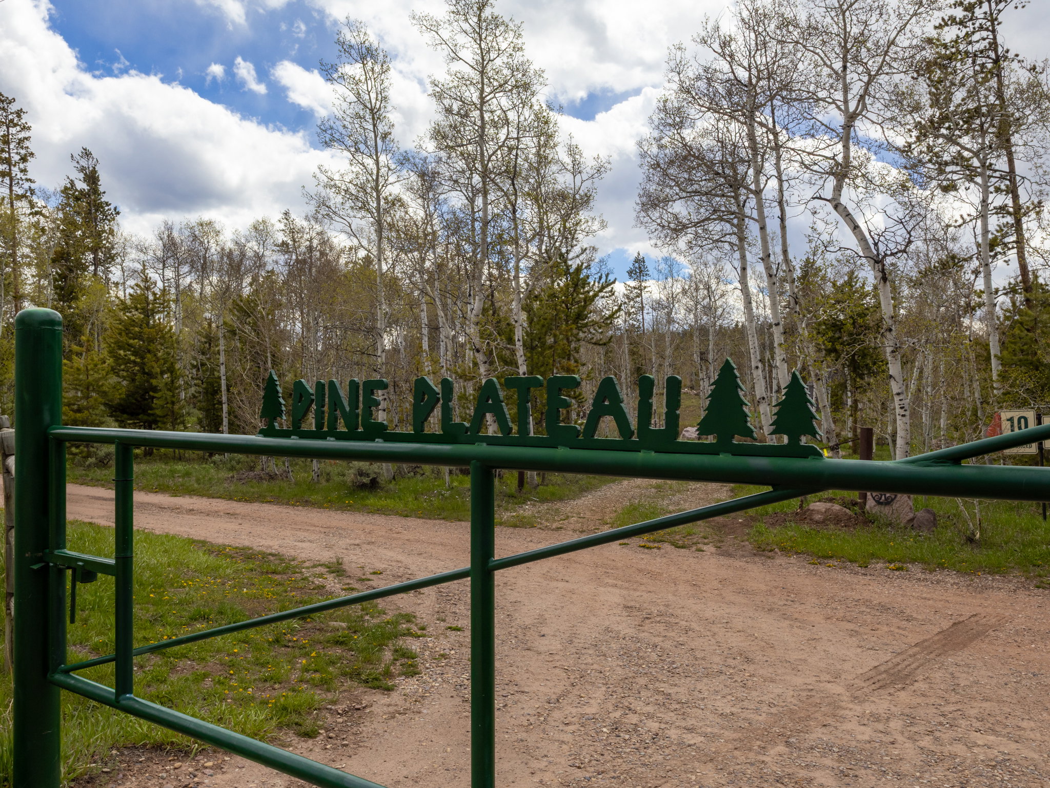 Green metal gate with "PINE PLATEAU" lettering and pine tree accents