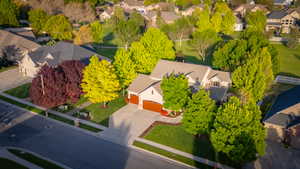 18 Mature Trees for Beauty & Privacy