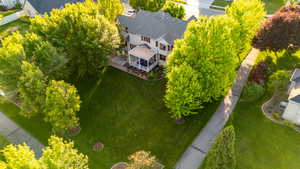 Spacious Backyard with 18 Mature Trees