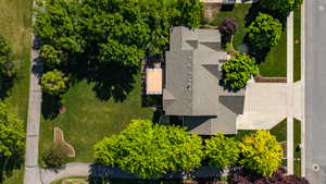 Large 1/3 Acre Lot - Fully Landscaped
