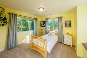 Bedroom #2 Lots of Natural Light and Nice Views of Trees & Backyard